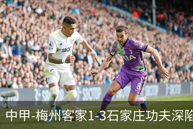 中甲-梅州客家1-3石家庄功夫深陷降级区 石家庄近7轮6胜1平